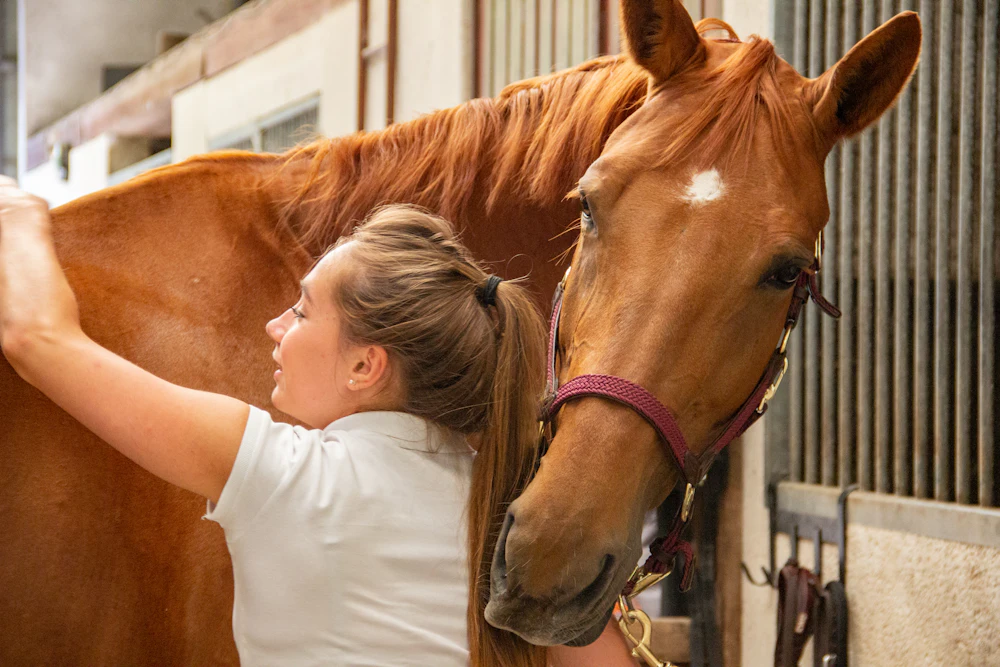 A rider grooming a chestnut horse in the stable
