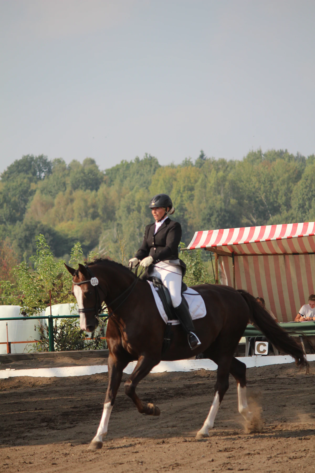 A dressage rider cantering a dark horse