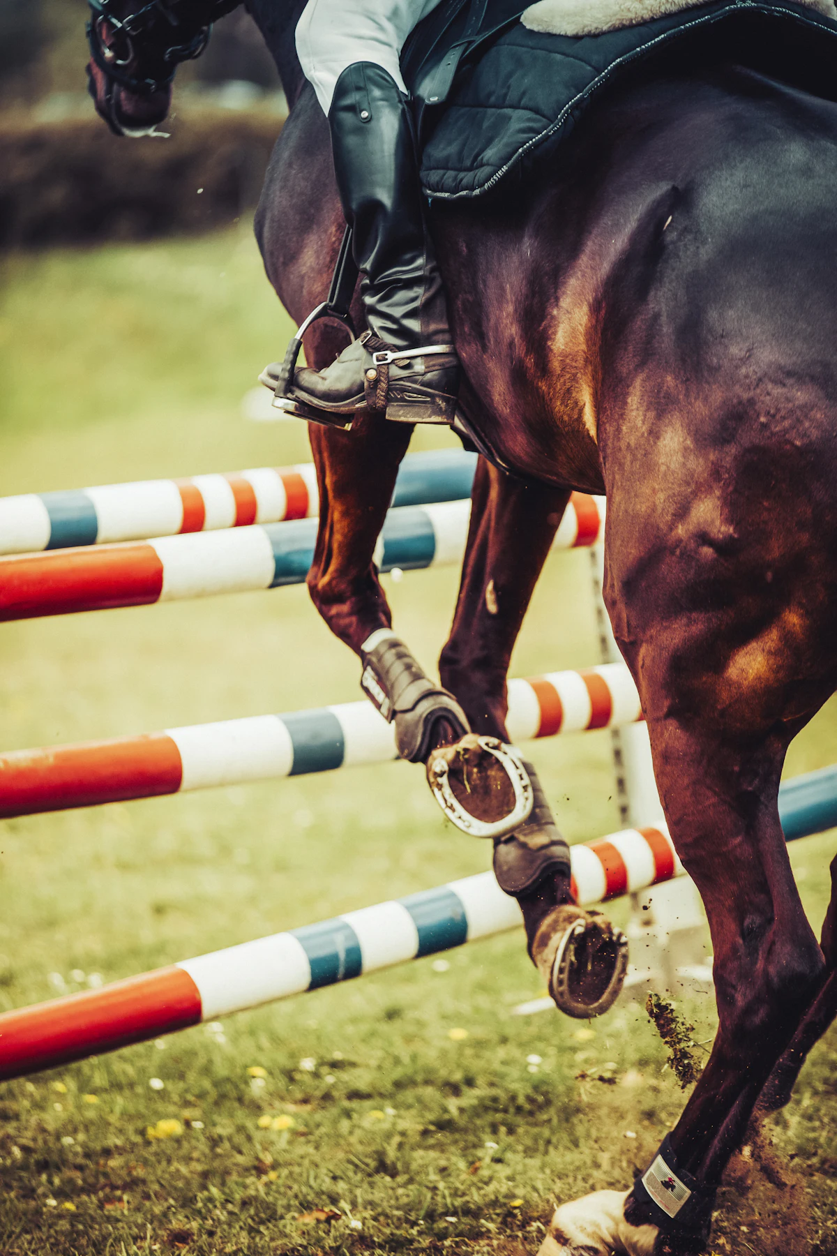 A horse lifting its legs over striped poles