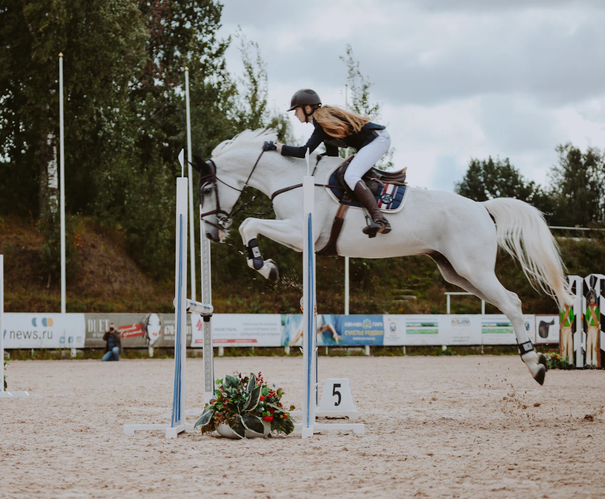 A white horse jumping a fence in the show ring