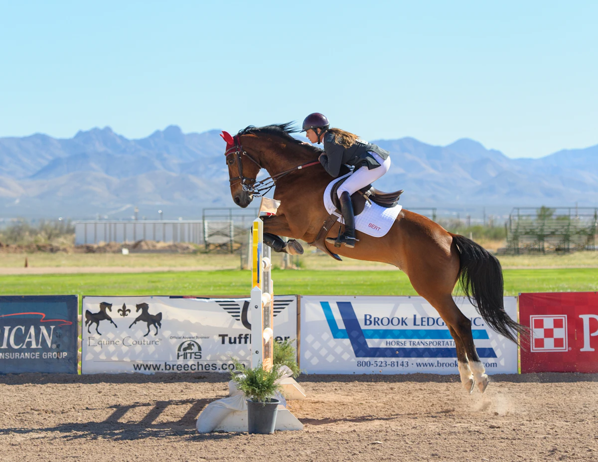 Horse and rider over a fence at a show