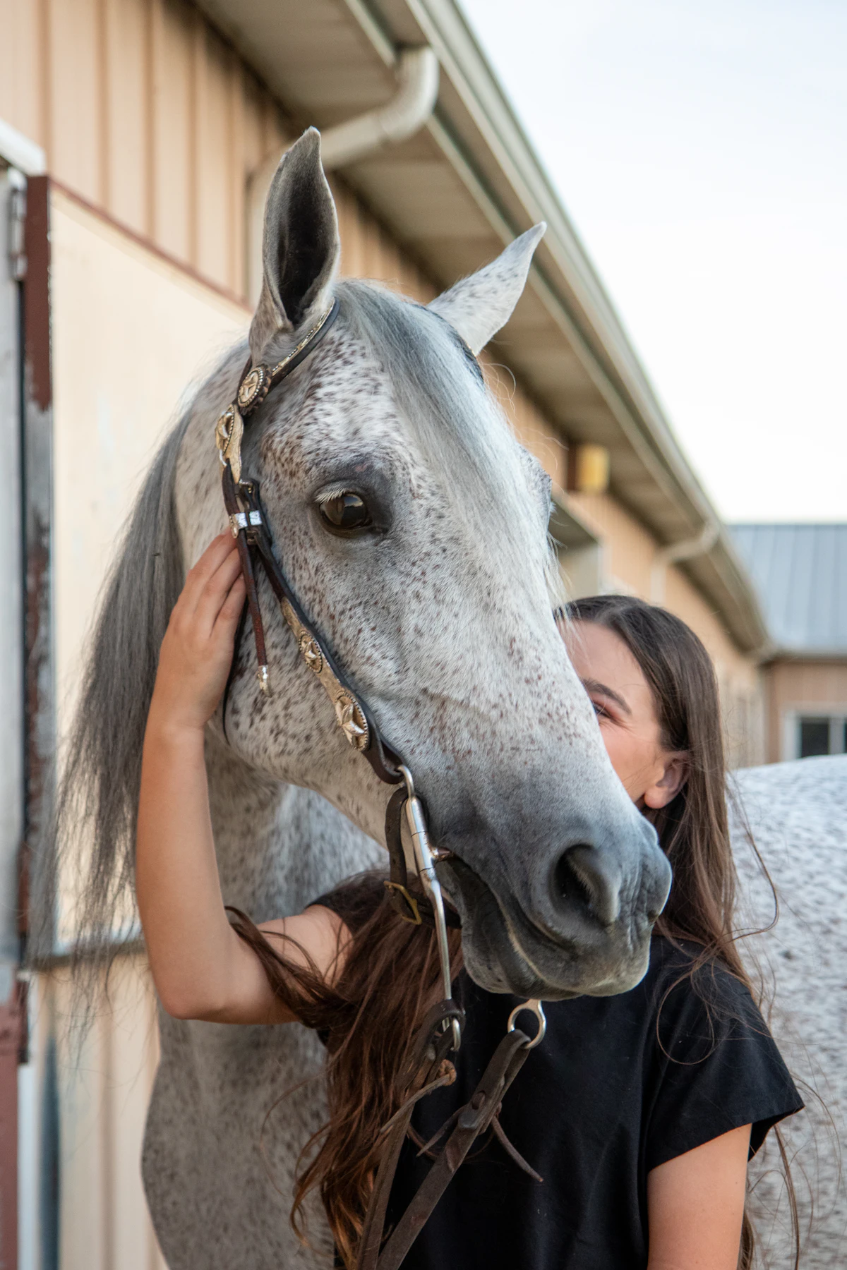 A girl with a grey horse outside the stable