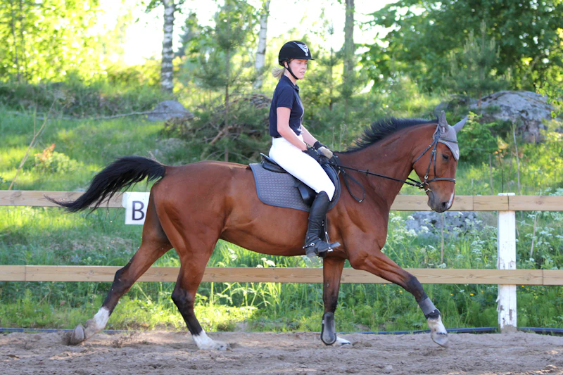 A rider on a chestnut horse in an extended trot
