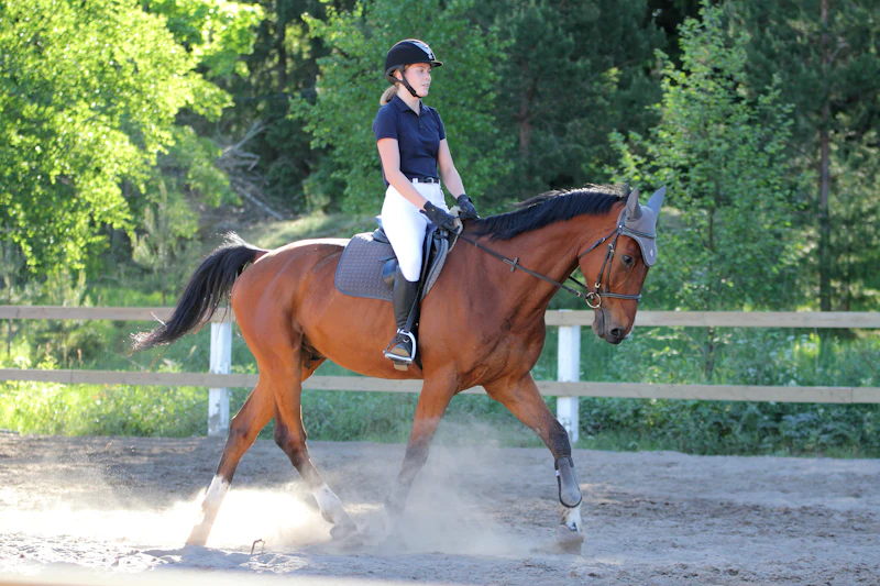 A rider in a helmet walking her horse in the arena